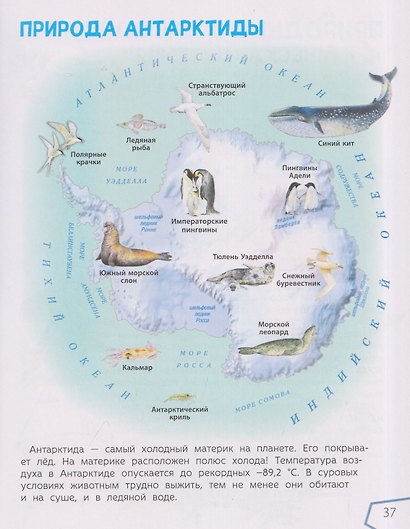 Детский атлас мира - фото 4