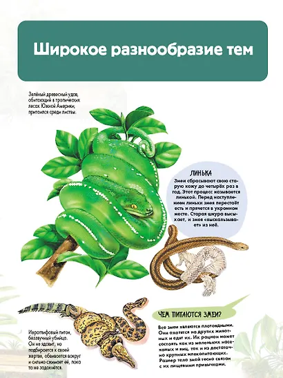 Рептилии - фото 7