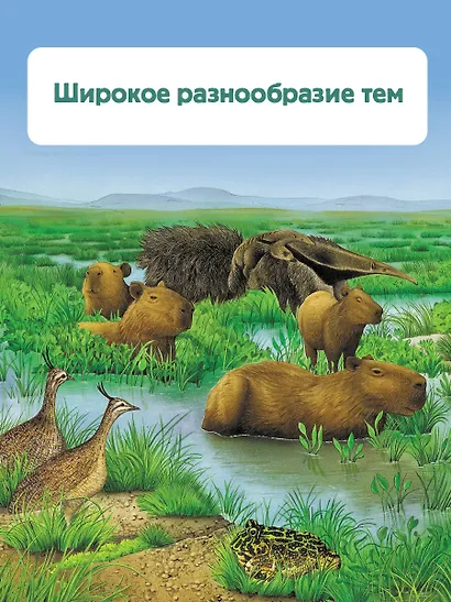 Растения - фото 8