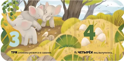 Первый счёт. Книжка с окошками - фото 4