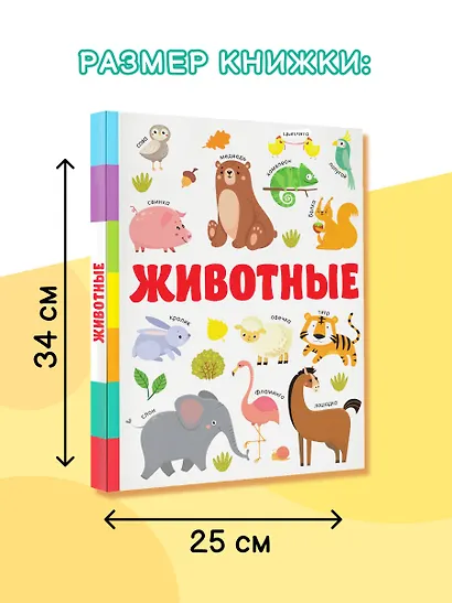 Животные - фото 5