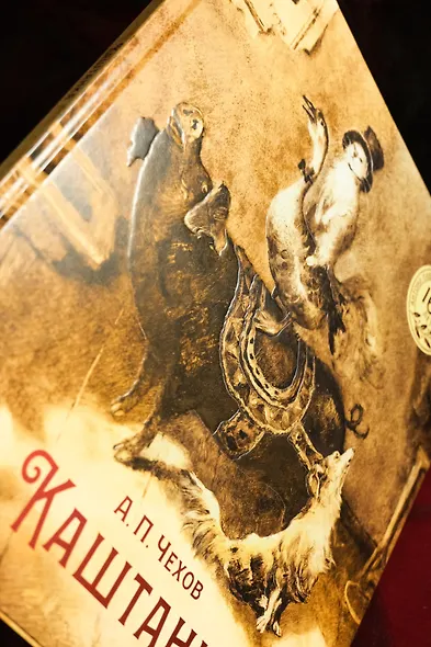 Каштанка - фото 7