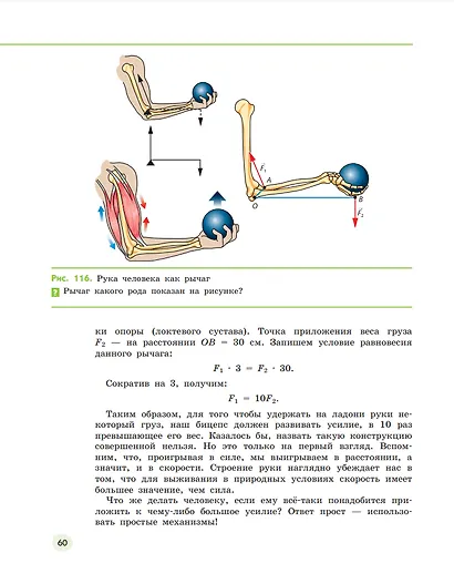 Естествознание. 6 класс. Учебник. В двух частях. Часть 2 - фото 4
