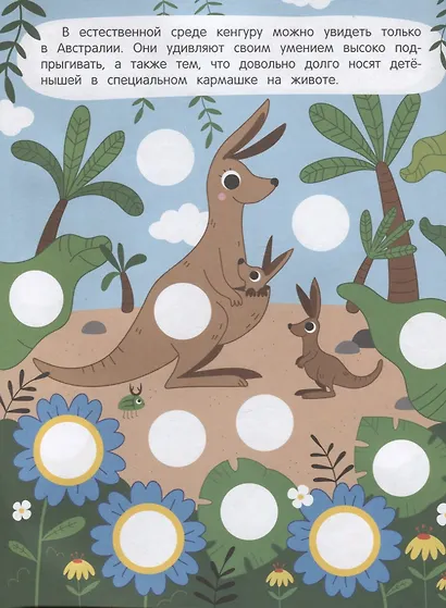 Жаркие страны: книжка с наклейками (96 наклеек) - фото 5