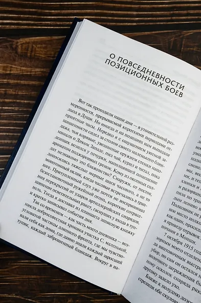 В стальных грозах - фото 9