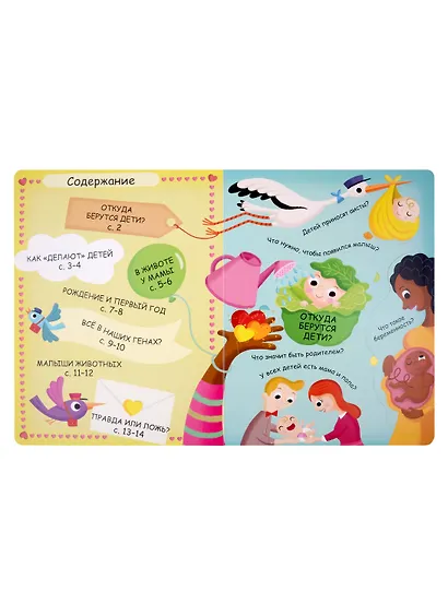 Волшебные окошки. Откуда берутся дети? - фото 2