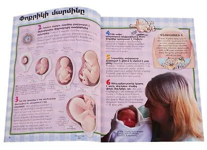 100 фактов. Тело человека (на армянском языке) - фото 5