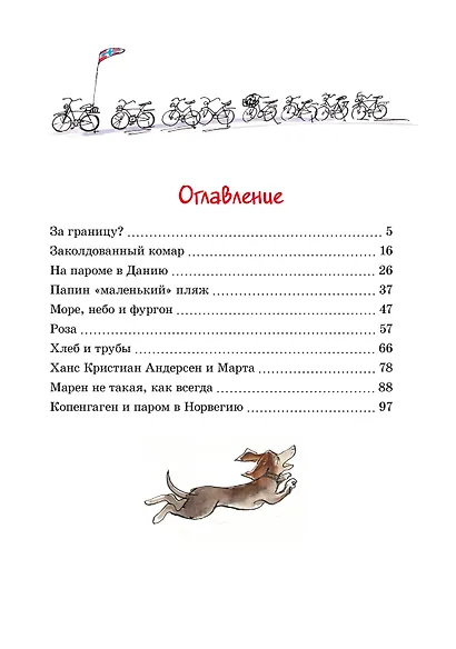 Папа, мама, бабушка и восемь детей в Дании - фото 7