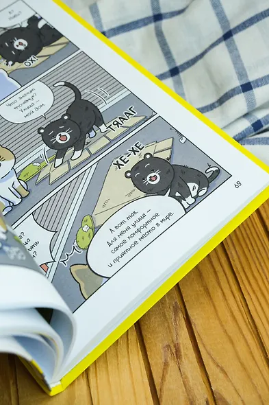 Котёнок Наби. Думай как кот! - фото 11