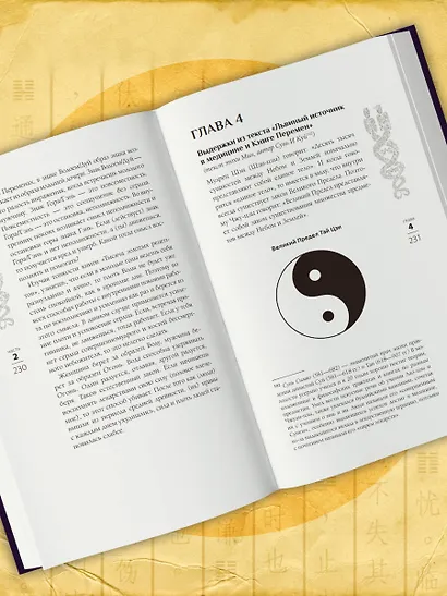 Трактат Желтого императора. Китайские врачи о Книге Перемен - фото 12