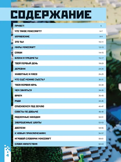 Minecraft для новичков. Шаг за шагом. Только факты. - фото 6