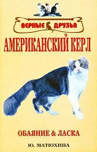 Американский керл :стандарт, содержание и уход, разведение, олезни и лечение, выставки - фото 1