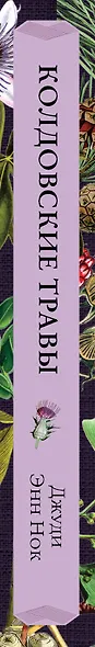 Колдовские травы. Ведьмовской путеводитель по тайным силам растений - фото 5