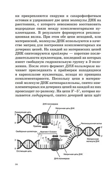 ОГЭ. Биология. Новый полный справочник для подготовки к ОГЭ - фото 8