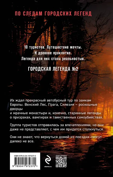 Хозяин мрачного замка - фото 2