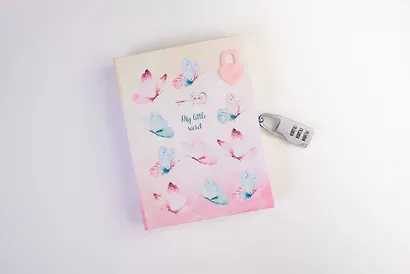 Блокнот с замочком «Танец бабочек», 80 листов - фото 4