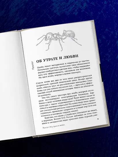 Как животные скорбят. Что чувствуют кошки, слоны, дельфины и другие, теряя близких - фото 12