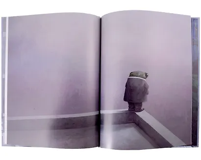 Cicada (Shaun Tan) - фото 5