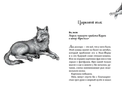 Дети леса. Двенадцать секретов (#8) - фото 10