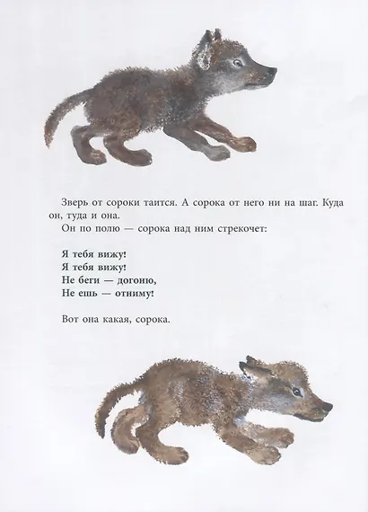 Болтливая сорока - фото 11