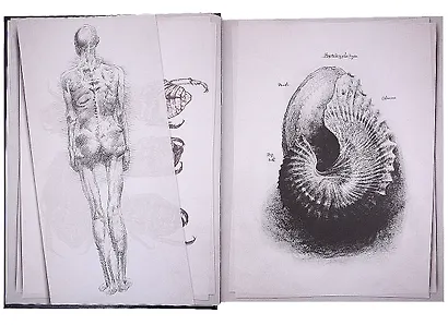 Alien Covenant. Davids Drawings - фото 8