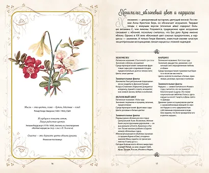 Тайный язык цветов - фото 5