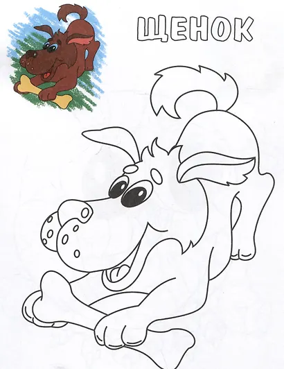 Щенок. Раскраски по образцу - фото 5