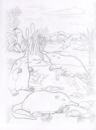 Красная книга. Животные и рыбы. Посмотри и дорисуй - фото 2