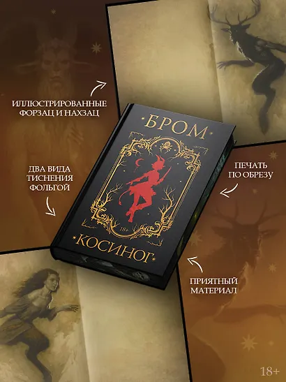 Косиног: История о колдовстве - фото 4