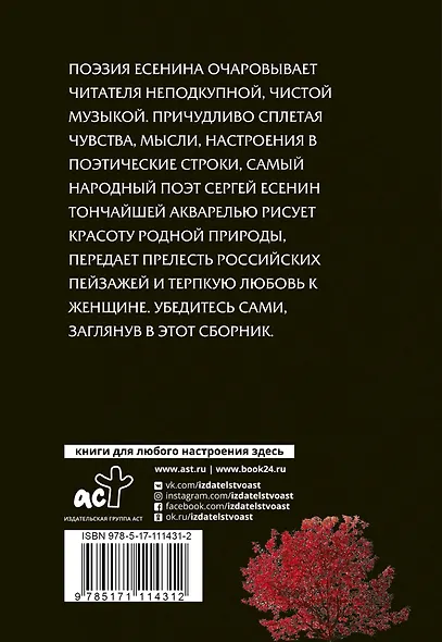 И опять и живу, и надеюсь - фото 2