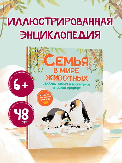 Семья в мире животных. Любовь, забота и воспитание в дикой природе - фото 4