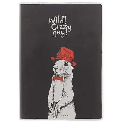 Тетрадь в линейку AnAn, Crazy guy, А5, 60 листов, в ассортименте - фото 4