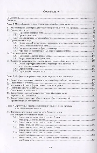 Строение и развитие коры большого мозга - фото 2