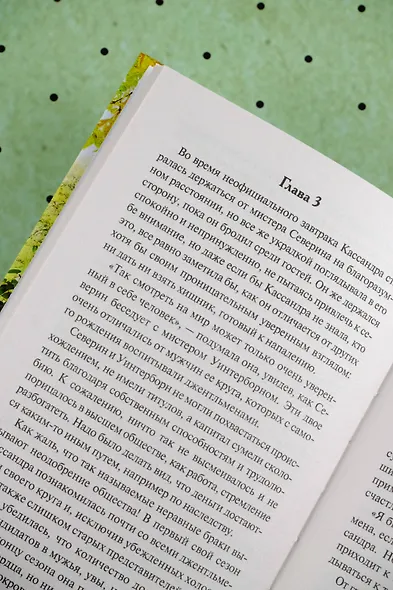 Непокорная невеста - фото 9