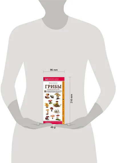 Грибы русских лесов и полей. Наглядный карманный определитель - фото 4