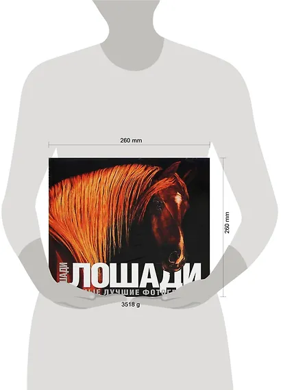 Лошади. Самые лучшие фотографии: Альбом - фото 2