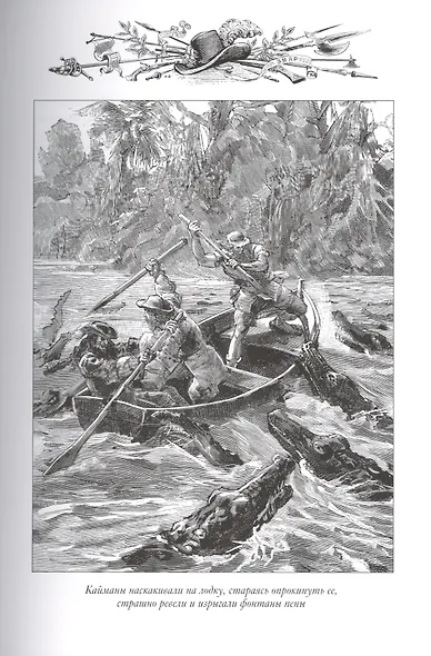 Золотая Кастилия. Медвежонок Железная Голова - фото 6