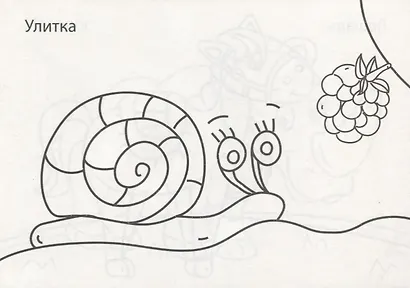 РАСКРАСКИ А5 эконом. альбомные. ЖИВОТНЫЕ - фото 3