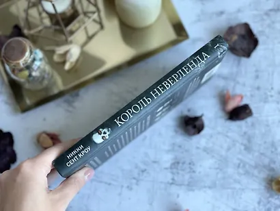 Король Неверленда - фото 13