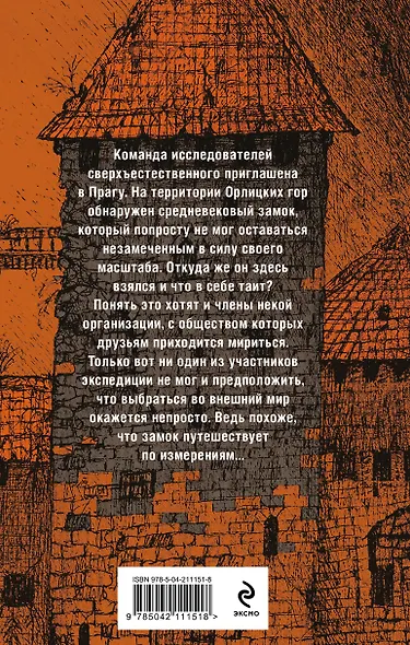 Холод туманного замка - фото 2