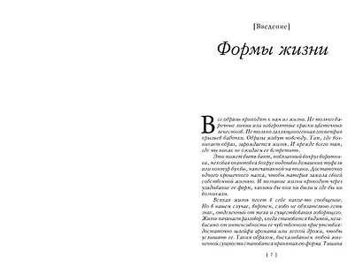 Жизнь форм: Новая философия моды - фото 10