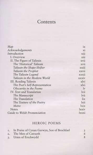 The Book of Taliesin - фото 2