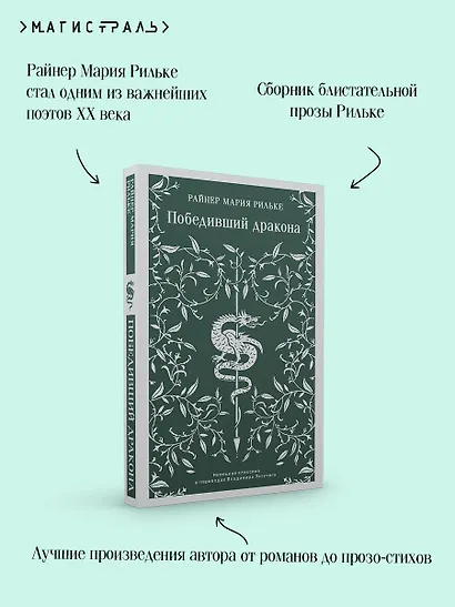 Победивший дракона - фото 7