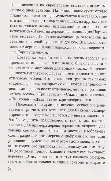 Занимательная ботаника - фото 4