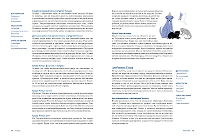 Астрология для всех. Как разобраться в себе и научиться понимать других - фото 4