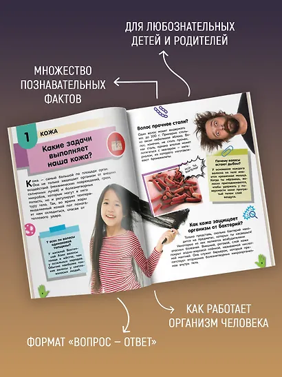 Путеводитель по телу человека. Вопросы и ответы - фото 4
