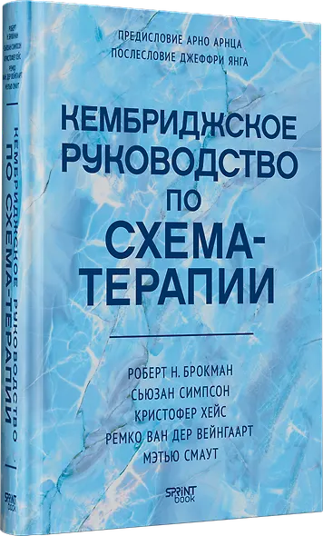 Кембриджское руководство по схема-терапии - фото 3
