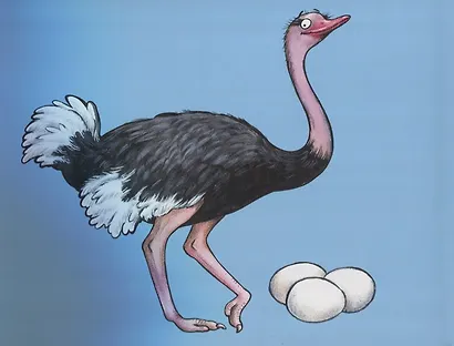 В Африке. 225 животных - фото 4