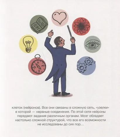 Как живёт тело? - фото 6