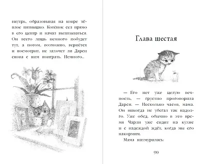Котёнок Чарли, или Хвостатый бродяга (выпуск 43) - фото 7